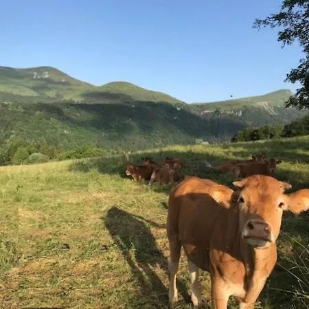 T1 Splendide Avec Balcon Et Wifi - 4 Personnes - Fr-1-608-46 Apartamento Le Mont-Dore